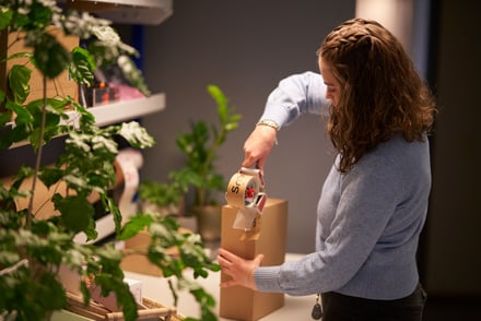 Hvilken logistikkløsning passer best for små nettbutikker?